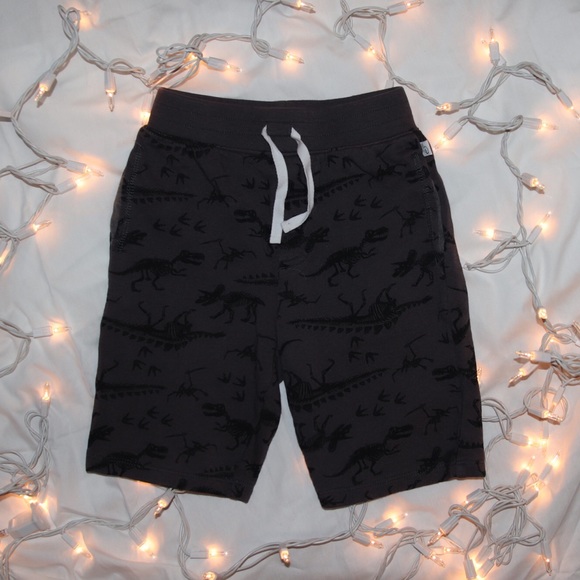 Flapdoodles Other - Kids Dino Shorts